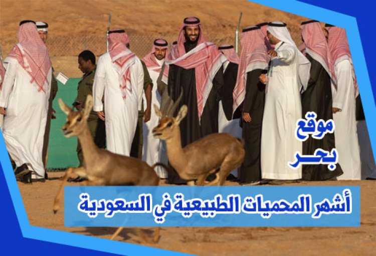 أشهر المحميات الطبيعية في السعودية